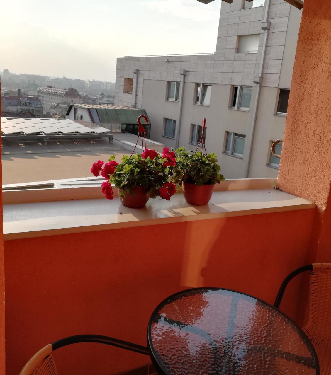 Milan&Jelena Apartement Beograd Ngoại thất bức ảnh